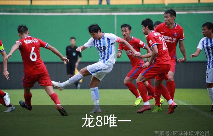 龙8唯一介绍
